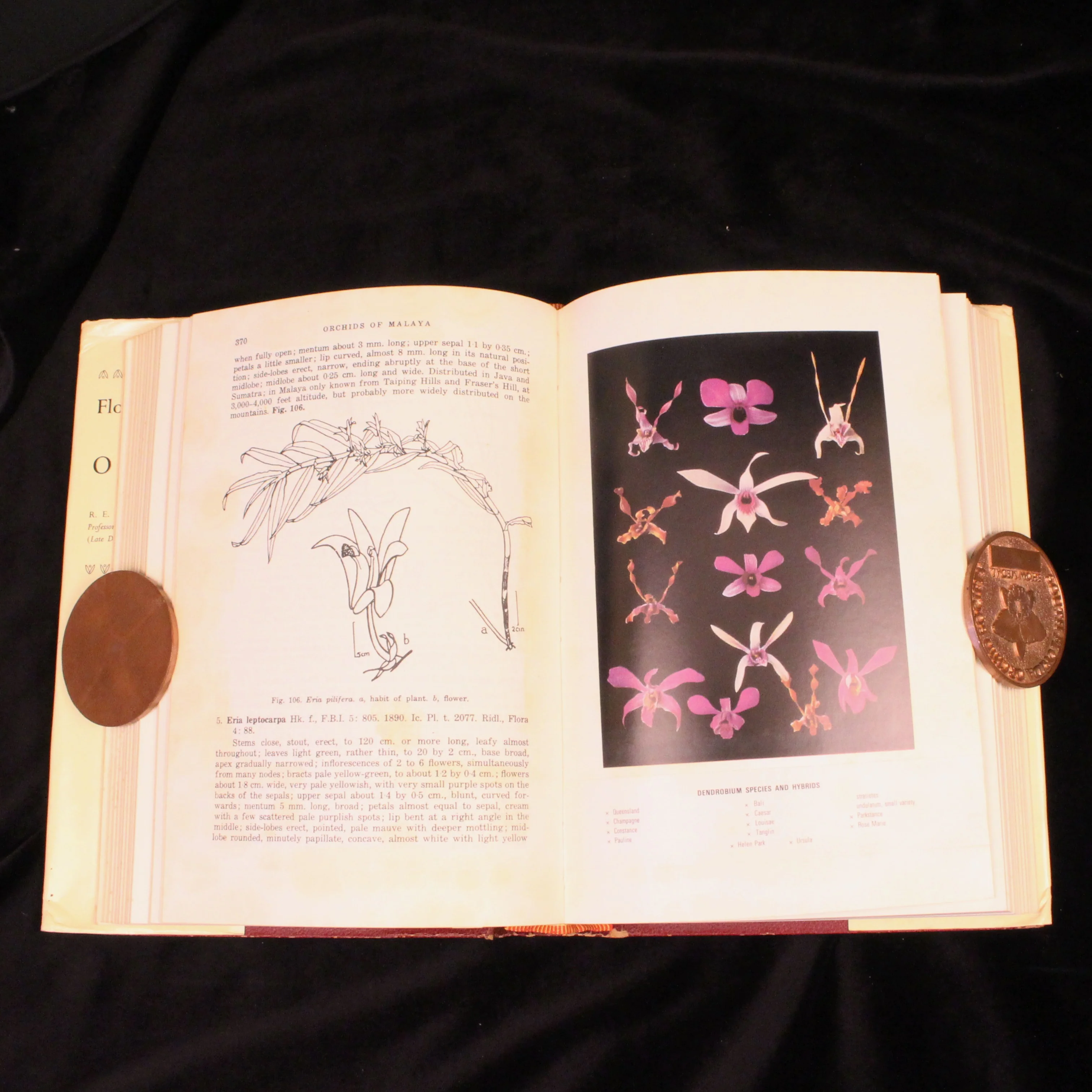 Flora of Malaya: Volumes I & II - Image 4