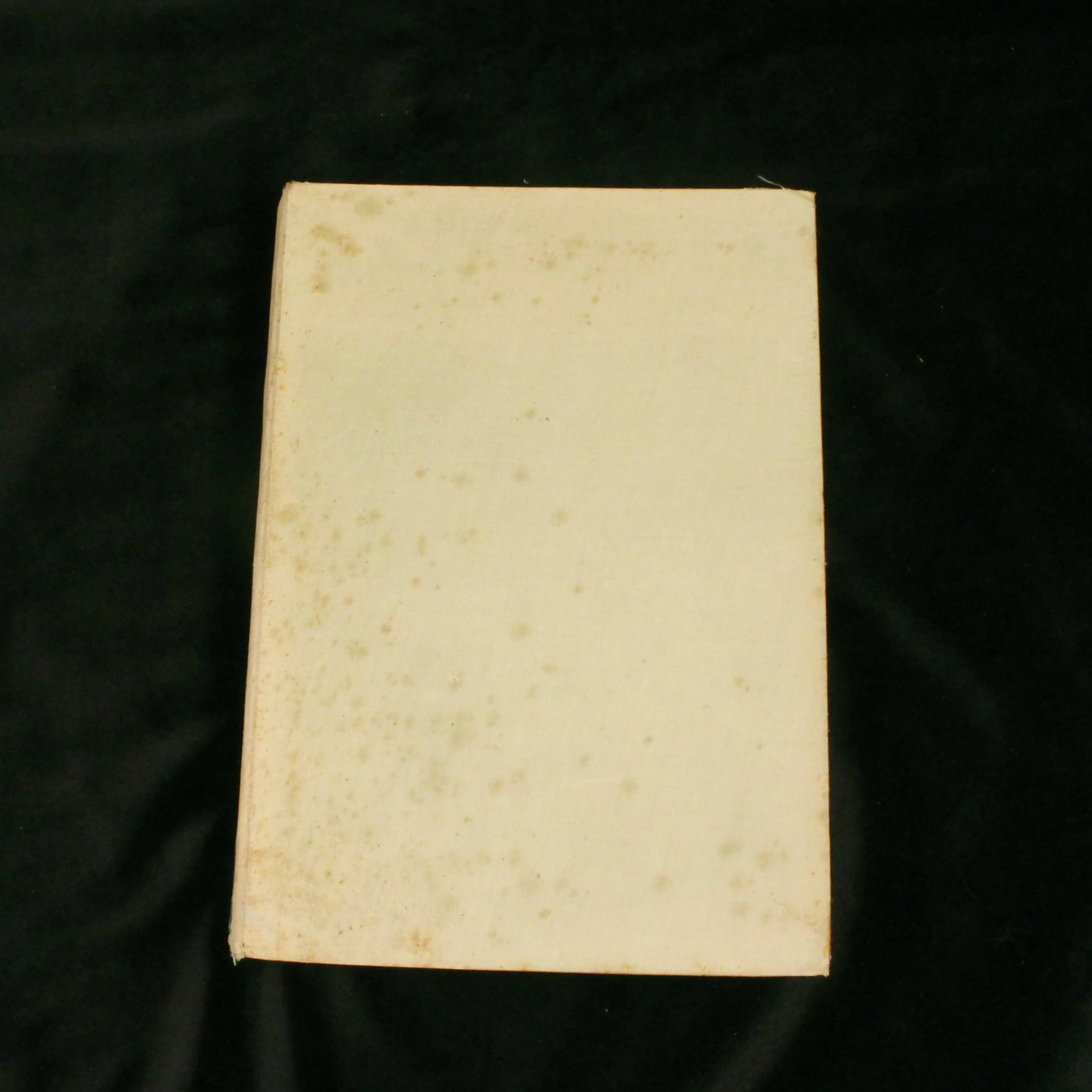 Malayan Orchid Hybrids - Image 5