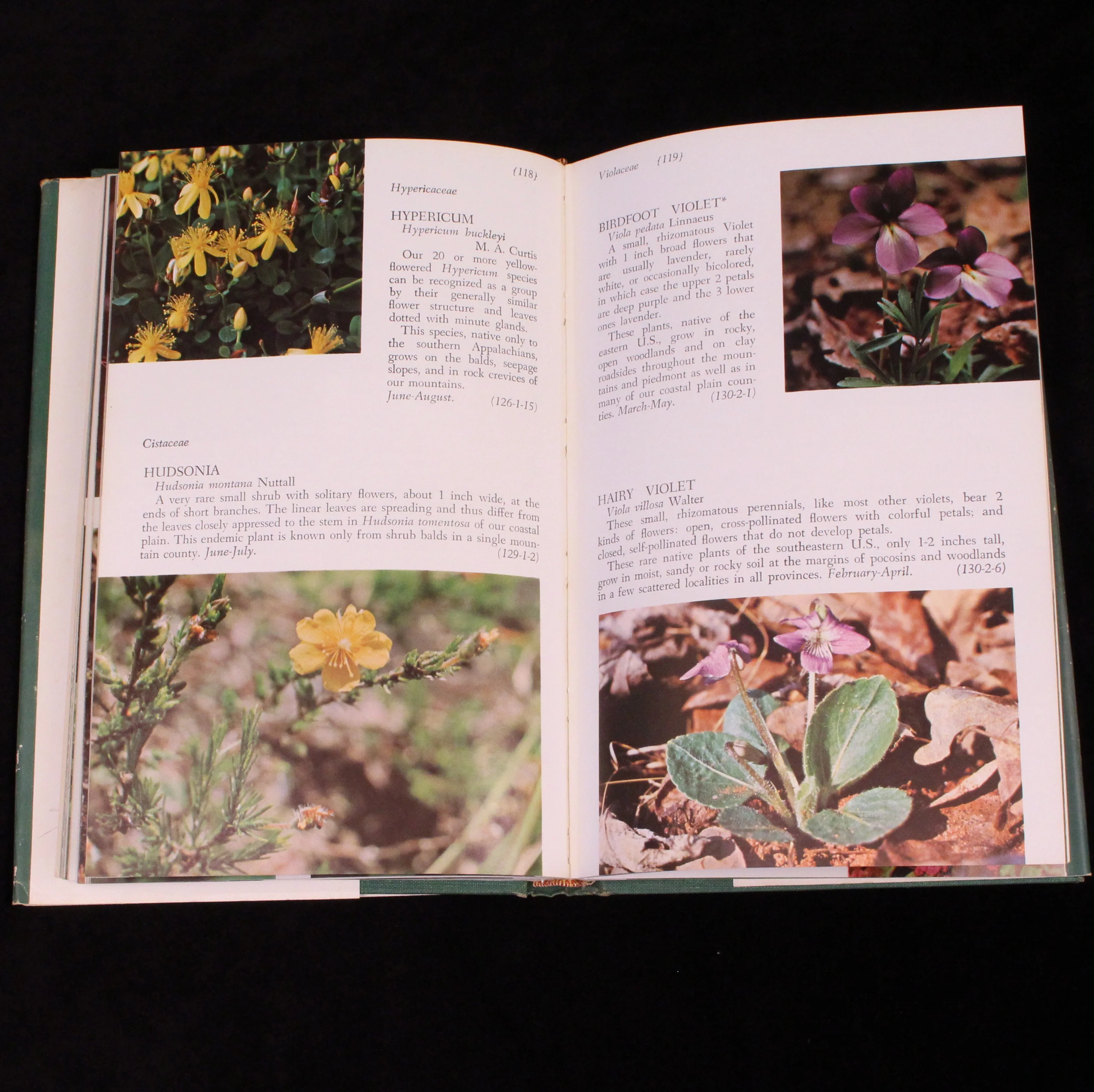 Wild Flowers of North Carolina and Surrounding Areas - Image 3